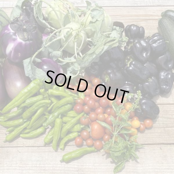 画像1: 【農薬・肥料不使用】八ヶ岳直送！自然栽培で育ったお野菜セット (1)