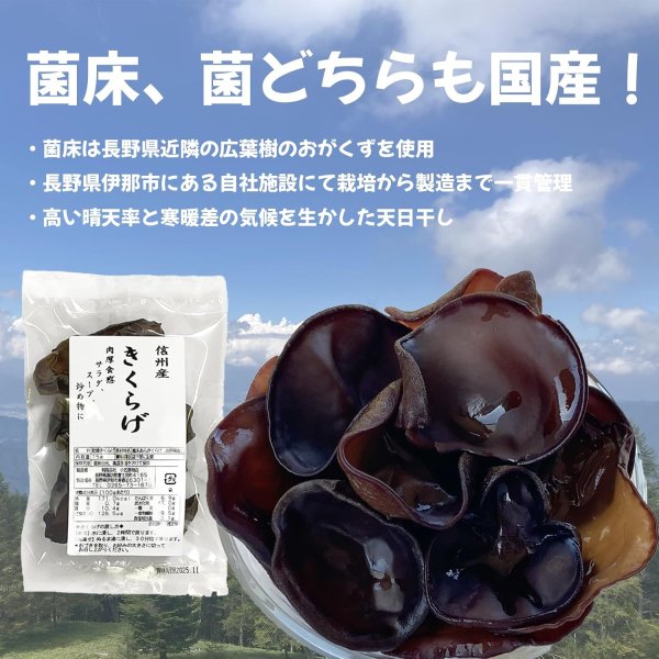 画像2: 乾燥きくらげ 信州産 70g入り (2)