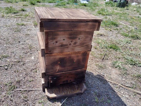 画像1: 日本みつばち専用　八ヶ岳産　養蜂箱 (1)