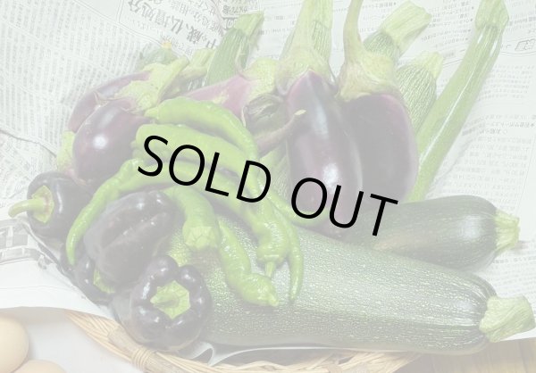 画像4: 【農薬・肥料不使用】八ヶ岳直送！自然栽培で育ったお野菜セット (4)