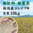 画像1: 令和6年【玄米】無肥料・無農薬　新潟産『コシイブキ』 (1)