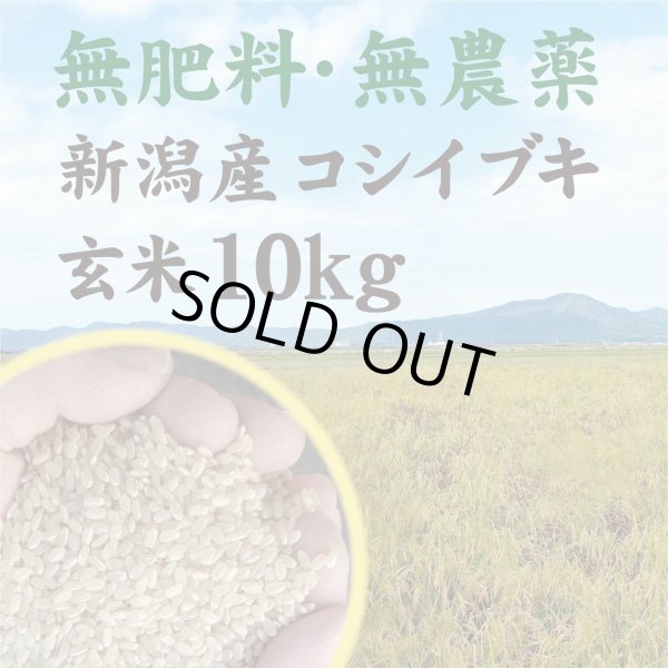 画像1: 令和6年【玄米】無肥料・無農薬　新潟産『コシイブキ』 (1)